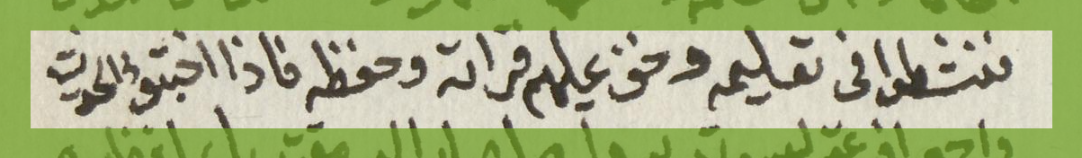 BWII672, P.46, L12